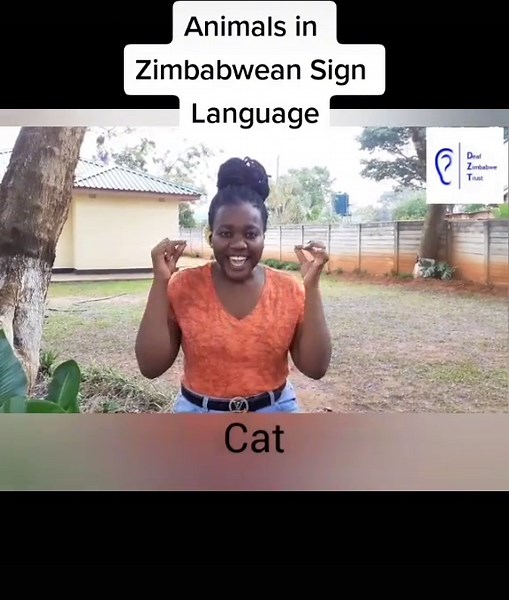 Animals in Zimbabwean Sign Language#SignLanguage