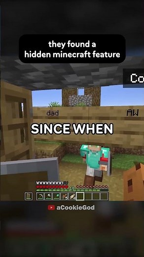 HIDDEN MINECRAFT FEATURE 😮😮