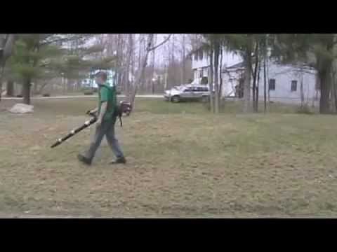 Dethatching Lawn Removing thatch after using dethatcher