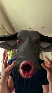 dig dig hey 👋😊👋 #fypシ #funny #fypシ゚viral #guitar #dancevideo