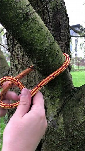 The King of Knots. Bowline