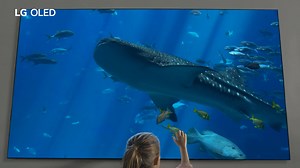 2.8K reactions · 163 shares | Die selbstleuchtenden Pixel der LG OLED TVs definieren Dein Seherlebnis völlig neu und bringen glasklare Details auf die ultra-großen 77” OLED-Displays. | LG Global | Facebook