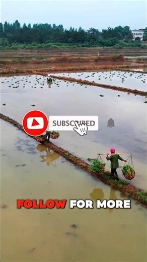 This Chinese school machine turns food waste into biodiesel and compost 🤯