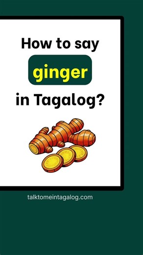 GINGER — Tagalog Translation and Example | Learn Filipino
