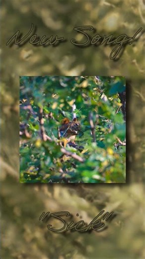 Sick #bitwig #music #original