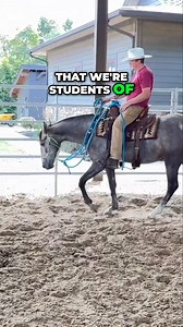 1.5K views · 31 reactions | Explore the incredible traits of Tennessee Walkers in this insightful video! Discover their gentle nature, smooth gait, and how they excel as saddle horses. Join us as we delve into the Vaquero style of horsemanship and unveil the beauty of these magnificent horses. #TennesseeWalkers #HorseRiding #VaqueroStyle #SaddleHorse #EquestrianLife #HorseTraits #Horsemanship #GentleGiant #HorseLovers #EquineEducation | Ed's Walking Horses | Facebook