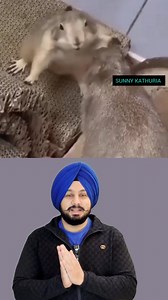 16K views · 5.8K reactions | This Mouse Knows How to Keep His Wife Happy... . . #loveanimals #animalovers #husband #wife #couple #cuteanimals #mouselove | Amardeep Singh | Facebook
