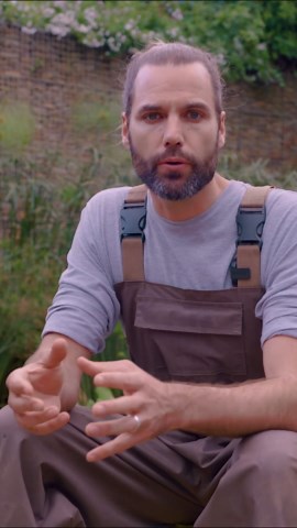 DIY Natural Pools | Online Courses on Instagram: "Interested in natural pool conversions? Get my free PDF download “5 WAYS TO CONVERT YOUR POOL TO A NATURAL POOL”. It explains the costs, methods, and pros and cons associated with these 5 different approaches. Comment with the word NATURAL and I will DM you the details. Natural pools often have a green tint due to the biofilm that forms on the walls — it's a natural process and a sign of a healthy aquatic ecosystem. This green layer is more notic