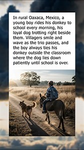 The Most Loyal School Companions | To Catch a Cheater