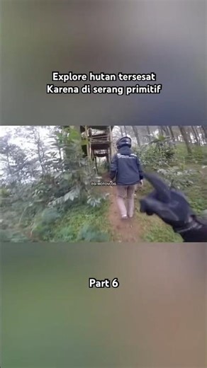 Explore the forest but get attacked by primitives #egimotovlog