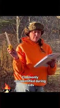 The Official Boinking Device Safety Check (NSFB—Not Safe for Beavers) part 2