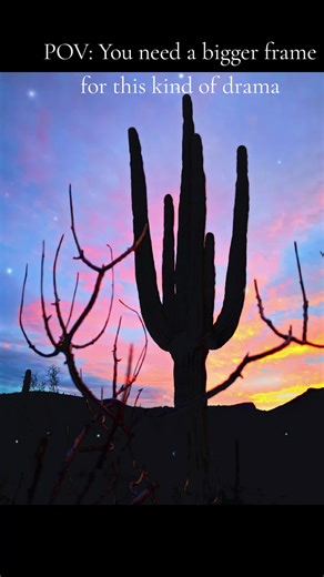 Sun goes down #saguaro #Arizona #paintedsky #brittlebush #desert