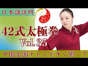 42式太極拳 第4段【37番 退歩 跨虎（tui bu kua hu）トゥイプ クワフゥ】Vo.35太極拳中国チャンピオン劉一丁‪@ryu-tube‬