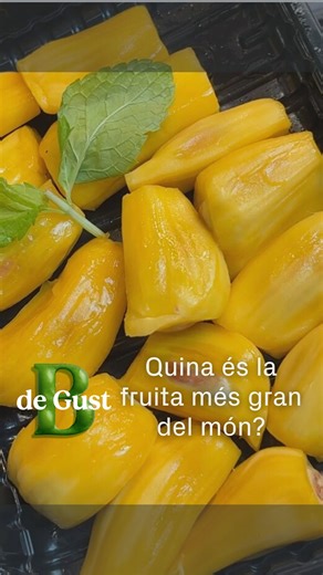 Coneixes la jaca? És la fruita més gran del món. La Marina Larregola, del Mercat de Sant Antoni, ens n’ofereix un tastet. La jaca o jackfruit pot arribar a pesar 35 kg i, per la seva textura, substitueix la carn en molts plats vegetarians. 🥭 Descobreix més curiositats a 'B de gust': de dilluns a divendres, a les 13.30 h