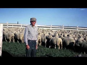 The Fabric of Pendleton - Pendleton x Alchemy Club