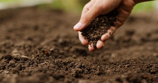 "Ripensare l'agricoltura nella chiave della sostenibilità"