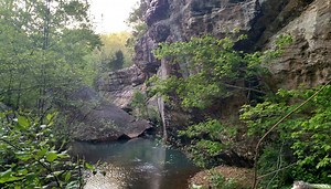 Move to convert Shawnee National Forest into a national park gaining steam