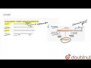 In lac operon model, lactose functions as