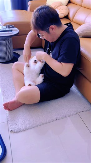 Victor Koo on TikTok