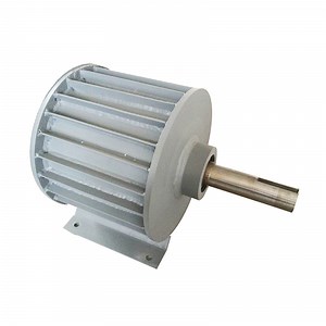 [Hot Item] 5kw 220V AC 300rpm Coreless Low Rpm Permanent Magnet Generator