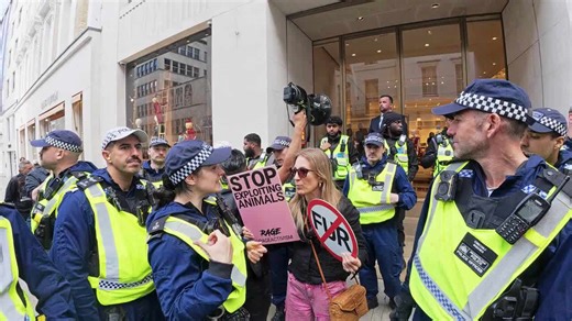 Animal rights activists disrupt Louis Vuitton store on Bond Street with arrests after police intervention
