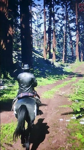 I Love RDR2 So Much... Sometimes I Just Walk Across the Entire Map ❤️