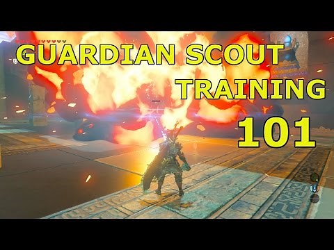 Zelda BOTW: How to Pass ANY Major Test of Strength for Every Player