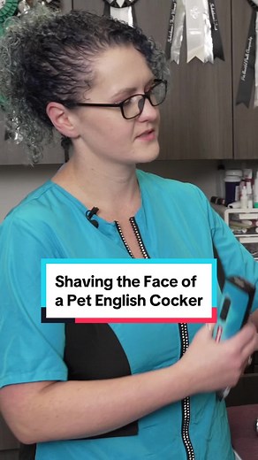 Groom Haüs on TikTok