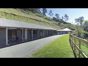 Dog Boarding Kennels - Gold Coast Pet Resort | Midtown Pet Centre