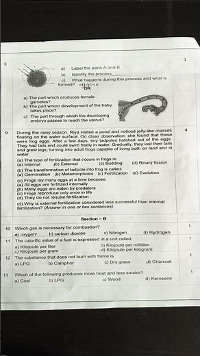 NCERT 🔥Class 8 Science 🔥PA-2 REAL Question Paper 2025-26 | Actual Exam attempted by Students