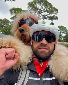 Life As A Giant Dog Daddy