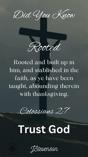 Rooted