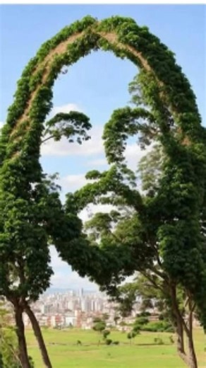 Have yo account set up and Ready to GO | ATLAS Community