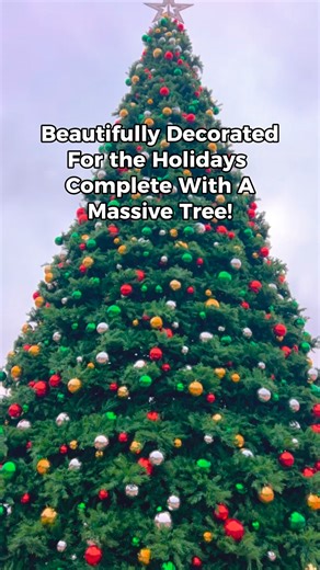 ✨🎄 HEY NWI! 🎄✨ One of my favorite things about this season is how festive Northwest Indiana gets! There’s just something magical about walking into a place decorated for the holidays and instantly getting all the warm cozy vibes. ❤️❄️ 👇 Tell us in the comments: Where should we go next?! Tag a local business that goes all-out for the holidays- or your family’s favorite festive spot! We want to visit as many as we can this season. ❤️🎁 Keep an eye out… your recommendation could be featured in o