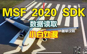 MSF 2020 SDK 简单说明 如何读取数据