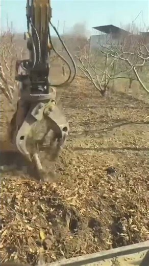 Subdistrict A dead tree trunk using heavy equipment#shorts #youtubeshorts #viral