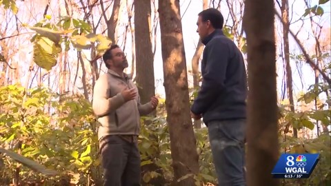 Lancaster Conservancy unveils Eagle View Nature Preserve with stunning Susquehanna River views