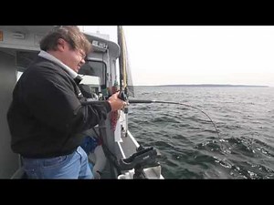 Captain Steve Kesling Lingcod fishing with live bait