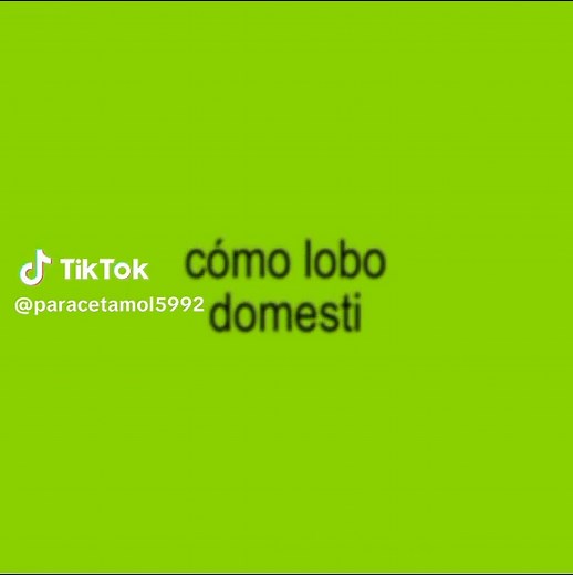 Lobo Domesticado: Letras y Significado