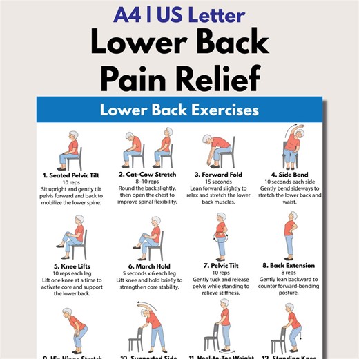 Lower Back Pain Relief, Printable Chair Exercises for Seniors, Seating & Standing Stretch Routine - Etsy Australia
