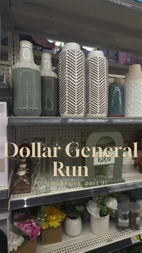 I took your advice and went to Dollar General. Next time, I need to download the app to get the coupons because $51 is not what I was expecting 😂. #fypシ #moving #shopping #dollargeneral #series