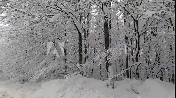 video of a snowy road. Snow-covered road. View from the car. A road after a snowstorm, camera car. No people, no cars.