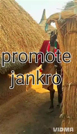 katikati (@katikati2974)’s videos with original sound - katikati