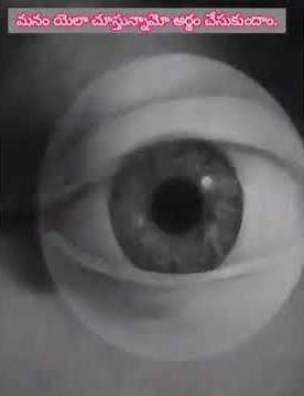 how do we see things? to understand how we see!