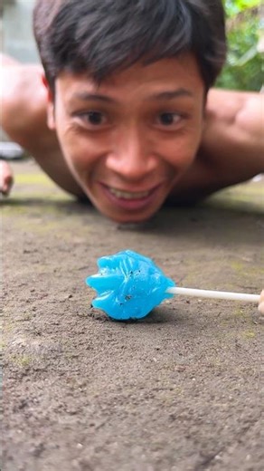 No sound, Stop talking and a millipede will come to coil around this candy #millipedes