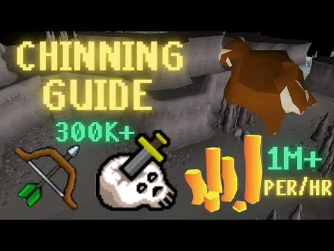 Runescape's ONLY Profitable Chinning Guide 2025