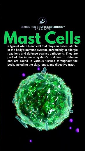 What are Mast Cells - #shorts