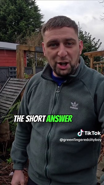 Planting Bulbs in January: Tips and Benefits for Vibrant Spring Flowers