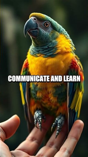 Can Parrots Truly Understand Human Speech or Is It All Mimicry